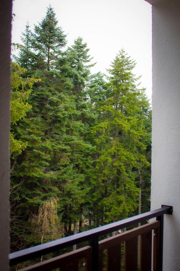 Borovets Gardens Studio エクステリア 写真